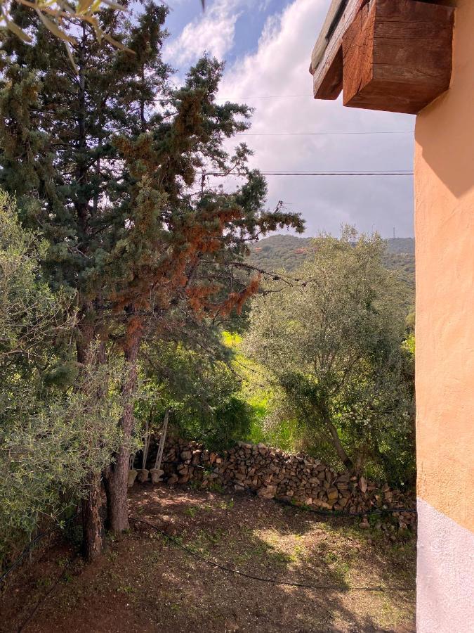 Casa Vacanza Porta Smeralda Olbia Exterior foto