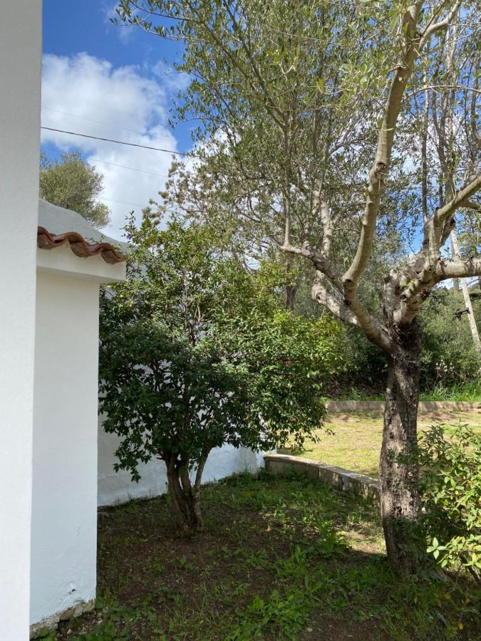 Casa Vacanza Porta Smeralda Olbia Exterior foto